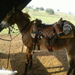 Profile Picture of Wesley Neumann Zanella (@neumannzanella) on Instagram