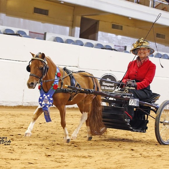 Martha Duchnowski - Poshmark Profile Picture of Martha Duchnowski (@mmduchnowski) on Poshmark