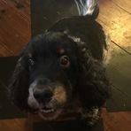 Profile Picture of Leah Emilie Klemm (@leah.e.klemm) on Facebook