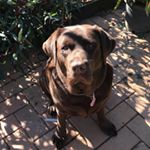 Profile Picture of Holly Buch-larsen (@holly_buch_larsen_) on Instagram
