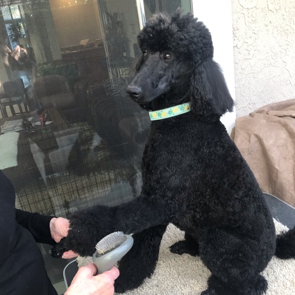 Profile Picture of Ken Hodges (@kenhodges) on Poshmark