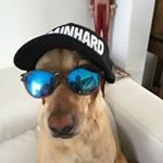 Profile Picture of Jean-marc Parmentier (@jeanmarcparmentier) on Instagram