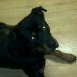 Profile Picture of Alicia Margaret Bobby Sladden (@aliciasladden) on Instagram