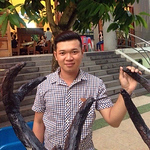 Profile Picture of Phan Huu (@phanhuu1995) on Flickr