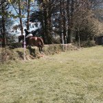 Profile Picture of Alice👩 (@alice_dugger) on Instagram