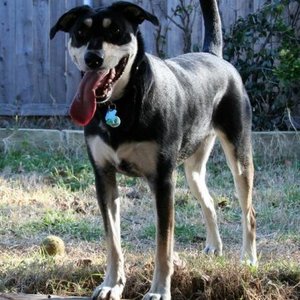 Profile Picture of Lance Haynes (@govnor666) on Myspace