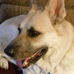 Profile Picture of Nancy Coffield (@nancy.coffield.9) on Facebook