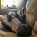 Profile Picture of Kevin Kramer (@kevin.kramer.35110418) on Facebook