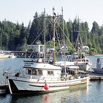 Wrdw - Flickr Profile Picture of Wrdw (@wrdw) on Flickr