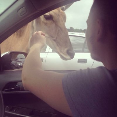 Profile Picture of Josh (@Joshbradburn) on Twitter