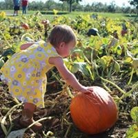 Profile Picture of Terri Alexander (@terri-alexander-22) on Quora