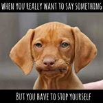 Profile Picture of Niall Reid (@vtiniall) on Instagram