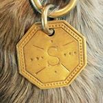 Profile Picture of Scott Newkirk (@burlap88) on Instagram