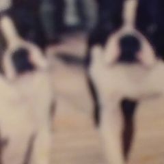Profile Picture of Robert Childs (@robert.childs6) on Tiktok
