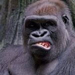 Profile Picture of Michael Miner (@michael.miner.5682) on Instagram