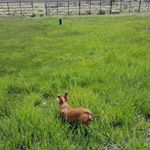 Carolyn Wroblewski - Instagram Profile Picture of Carolyn Wroblewski (@carolyn.wroblewski) on Instagram