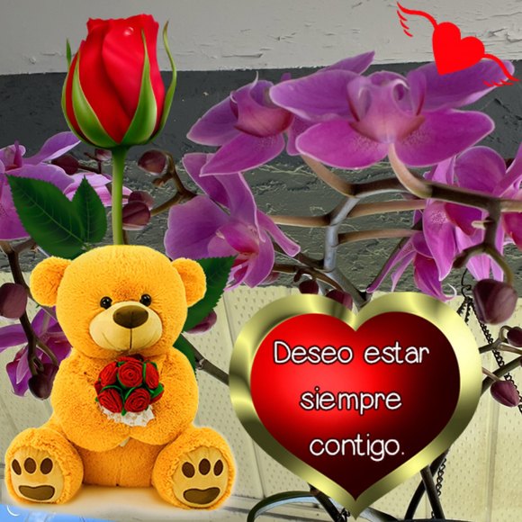 Profile Picture of Maria Cano (@mariacano413) on Poshmark