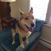 Profile Picture of Bruce Van Ness (@bruce.vanness) on Facebook