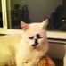 Profile Picture of Steve Barela (@steve.barela.940) on Facebook