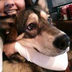 Profile Picture of Tammy Groh (@tamgroip) on Instagram