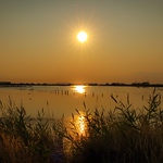 Profile Picture of Virginie  Dolata (@virginie.dolata) on Flickr