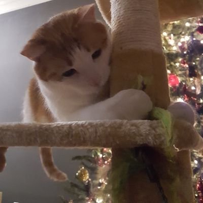 Profile Picture of Tony Shaver Ain't Deserve This (@Tony_Shaver) on Twitter