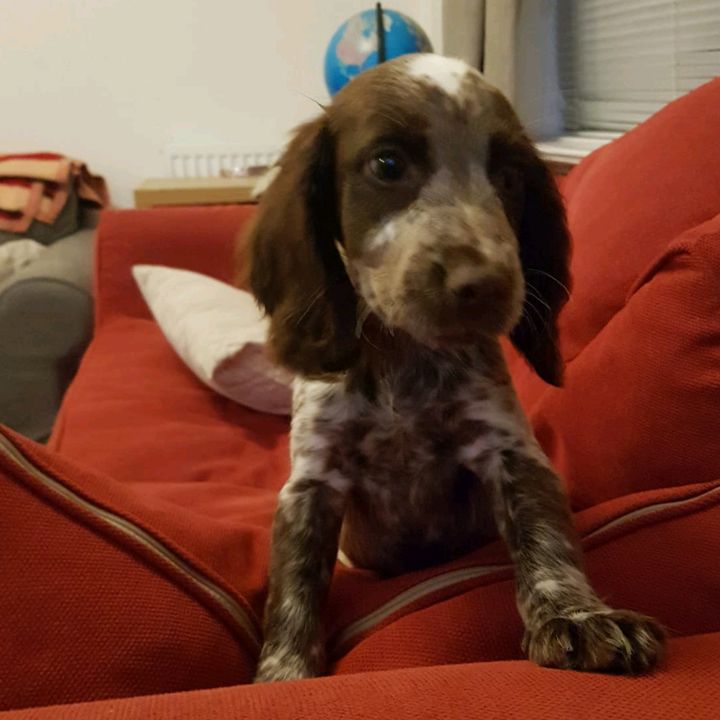 Profile Picture of James Goose (@user54620076) on Tiktok