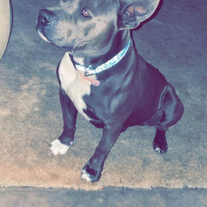 Profile Picture of Dustin Silicox (@@dustinsilicox) on Tiktok