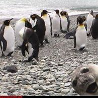 Profile Picture of Jason Hyndman (@shakespeareinth) on Pinterest