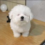 Profile Picture of 민서영 (@sy030209) on Instagram