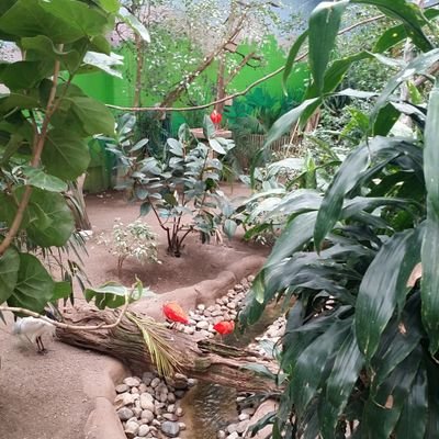 Profile Picture of Terry Stout (@tstout747) on Twitter