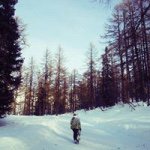 Profile Picture of Ross Forrest (@rssfrrst) on Instagram