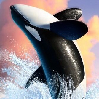 Profile Picture of Alexander Pei (@A1exPei) on Twitter