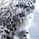 Profile Picture of Tznkuryeo😙 (@thomasnager37) on Instagram