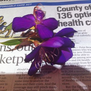 Profile Picture of Mona Nicholsonjones (@mona.nicholsonjones) on Facebook