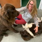 Profile Picture of Stacie Belvin (@stacie.belvin) on Facebook