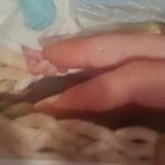 Profile Picture of Shelly Scales (@shellyscales) on Instagram