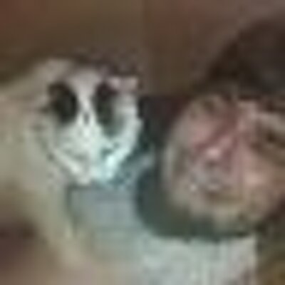 Profile Picture of Bryan Zimmerman (@BryanZimm) on Twitter