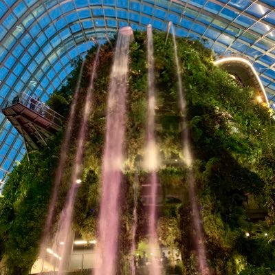 Profile Picture of Joshua Shea (@JoshuaMSFT) on Twitter