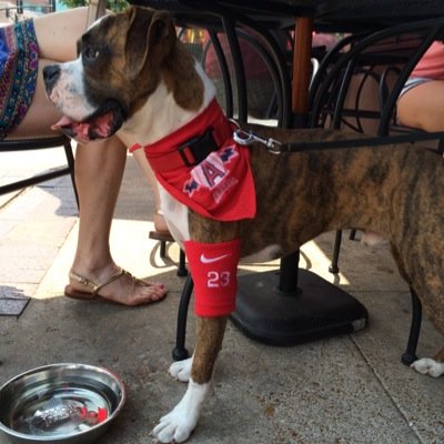 Bob Freese - Twitter Profile Picture of Bob Freese (@NotBobHuman) on Twitter