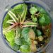 Profile Picture of Maria Colletti Green Terrariums (@greenterrariums) on Pinterest