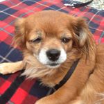 Profile Picture of Barbara Corazza (@barbara.corazza) on Instagram