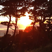 Profile Picture of Andre Webster (@andrewebster6331) on Youtube