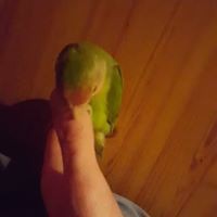 Profile Picture of Dean Dobbs (@dean-dobbs-2) on Quora