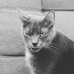 Profile Picture of Earl Thatcher Carter (@yeahlikethetea) on Instagram
