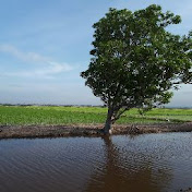 Stacy Wong - Youtube Profile Picture of Stacy Wong (@stacywong8293) on Youtube