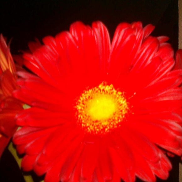 Simone Verney - Poshmark Profile Picture of Simone Verney (@thegirl75) on Poshmark