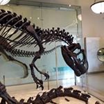 Profile Picture of marc (@marc_peralta28383) on Instagram