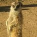 Profile Picture of Chris Wathall (@chris.wathall.3) on Facebook