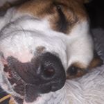 Profile Picture of Daniela Neumann (@danen12018) on Instagram